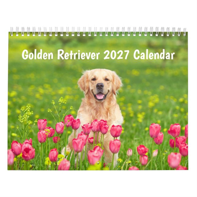 Calendário do Retriever Dourado 2027 (Capa)