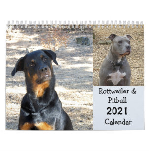 Calendário do Rottweiler e do Pitbull