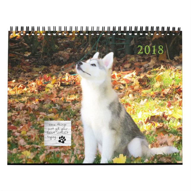 Calendário do rouco Siberian (Capa)