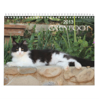 Calendário do salvamento 2013 do gato de Greyfoot