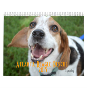 Calendário do salvamento 2015 do lebreiro de