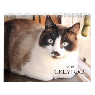 Calendário do salvamento 2016 do gato de Greyfoot