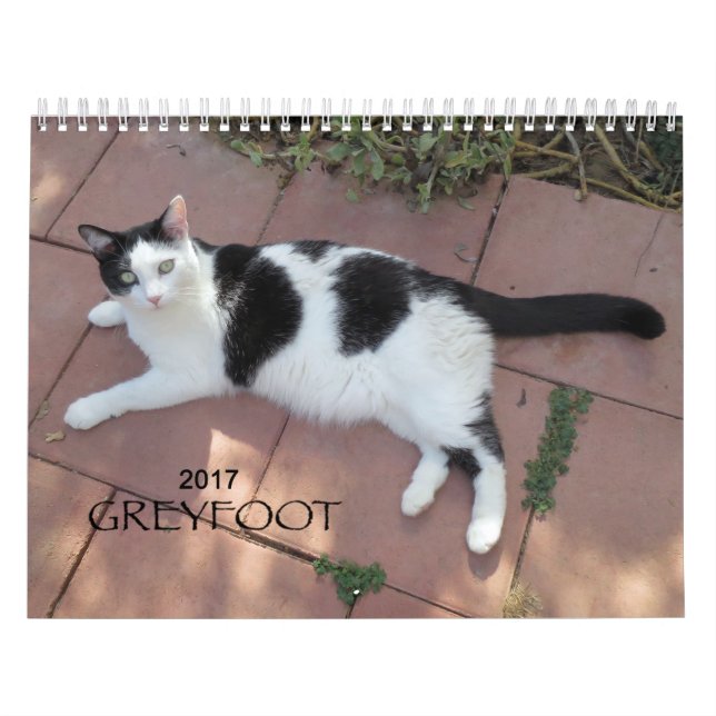 Calendário do salvamento 2017 do gato de Greyfoot (Capa)