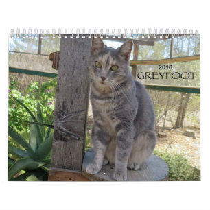 Calendário do salvamento 2018 do gato de Greyfoot