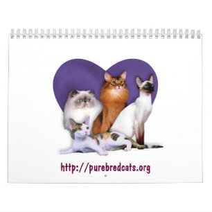 Calendário do salvamento da raça do gato do