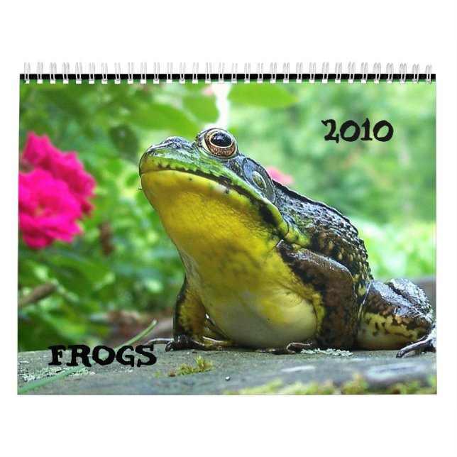 Calendário do sapo (Capa)