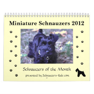 Calendário do Schnauzer diminuto