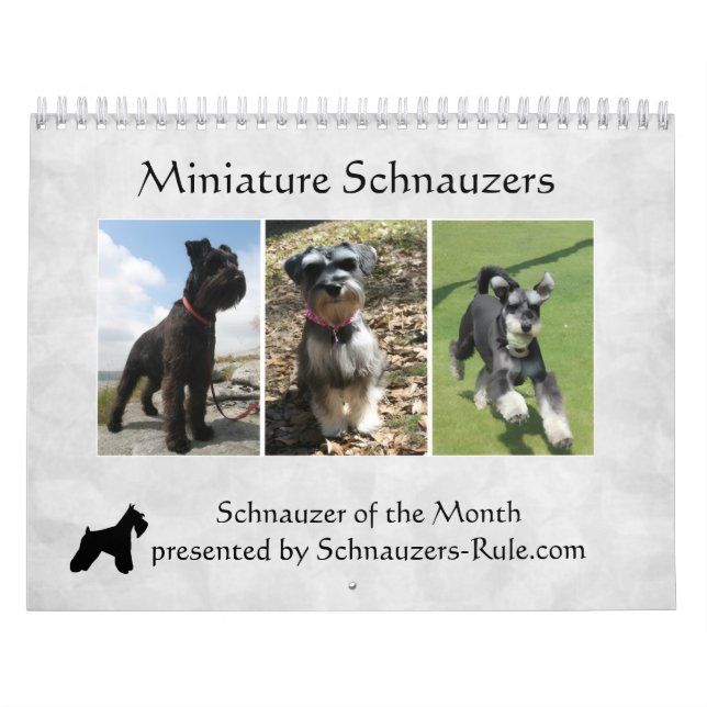 Calendário do Schnauzer Miniatura (Capa)