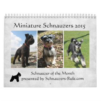 Calendário do Schnauzer Miniatura
