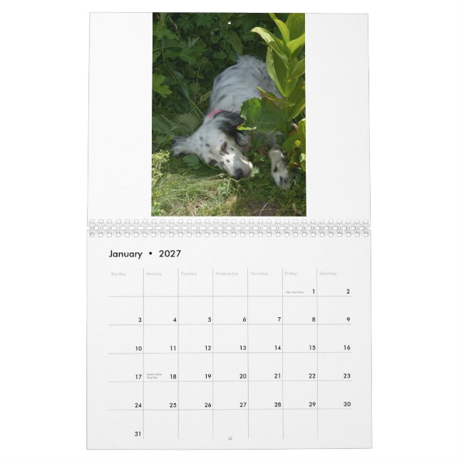 calendário do setter inglês (Jan 2027)