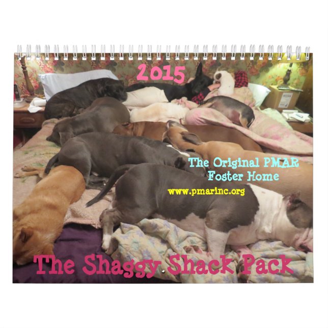 Calendário do Shack Shaggy (Capa)