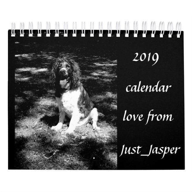 Calendário do spaniel de Springer (Capa)