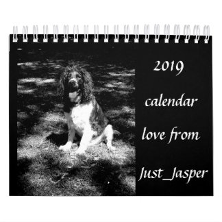 Calendário do spaniel de Springer