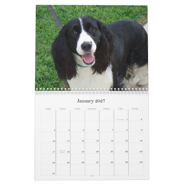 Calendário do Spaniel de Springer inglês 2009 (Jan 2027)