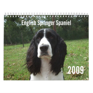 Calendário do Spaniel de Springer inglês 2009