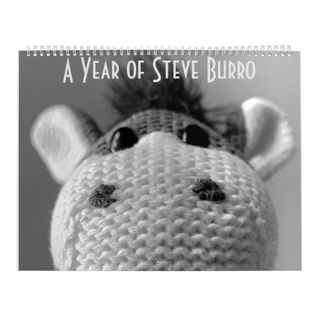 Calendário do Steve Burro (Capa)