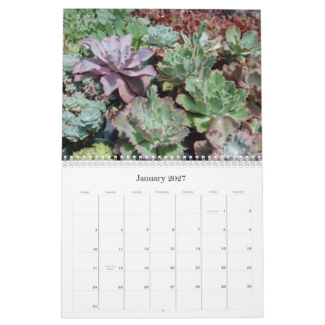 Calendário do Succulent (Jan 2027)