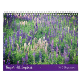 Calendário do Sugar Hill Lupines