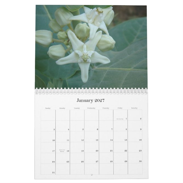 Calendário do sul da Ásia das flores (Jan 2027)
