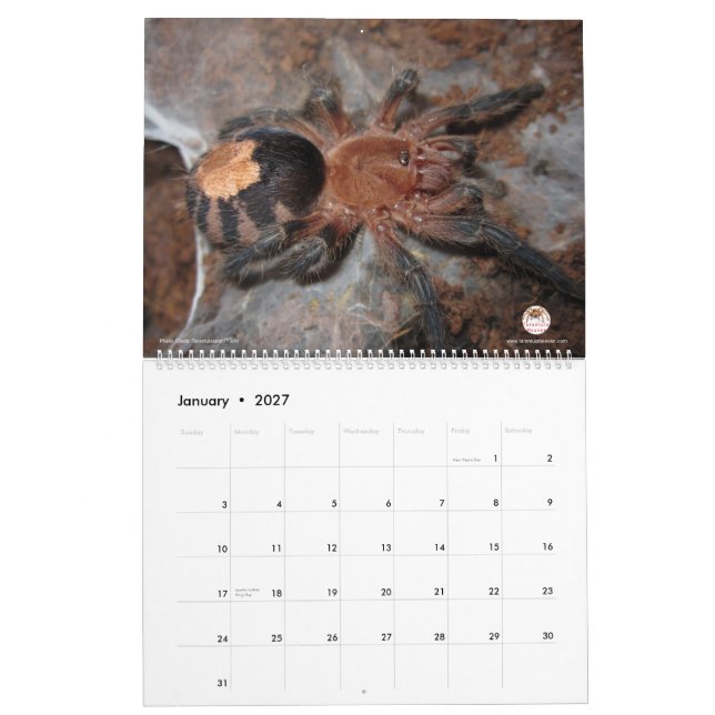 Calendário do Tarantula para 2018 (Jan 2027)