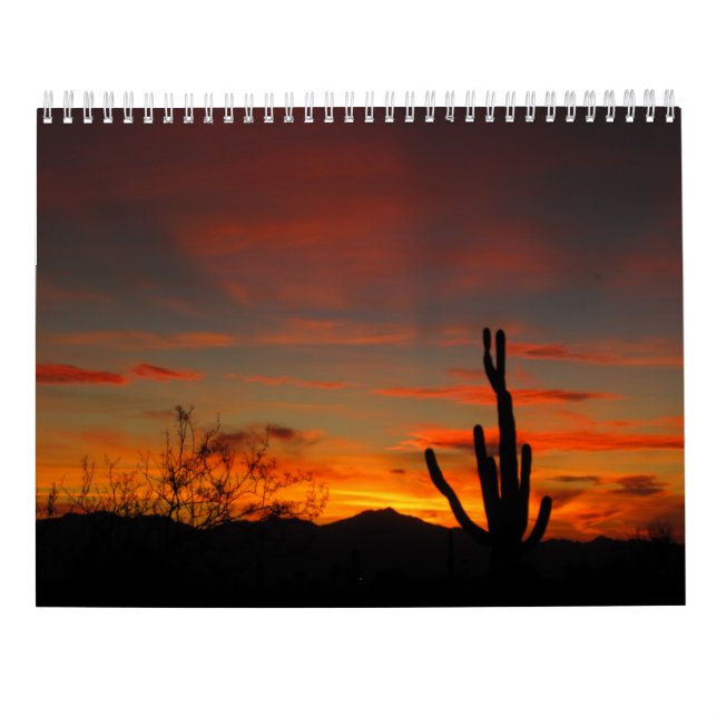 Calendário do tempo 2017 de Tucson (Verso)