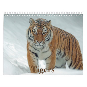 Calendário do Tigre