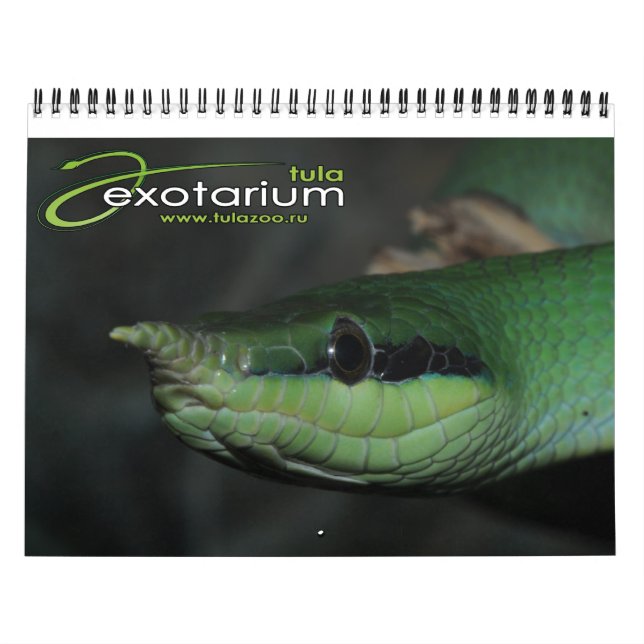 Calendário do Tulazoo (Capa)