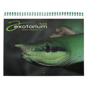 Calendário do Tulazoo