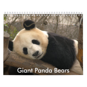 Calendário do urso de panda gigante, ursos de
