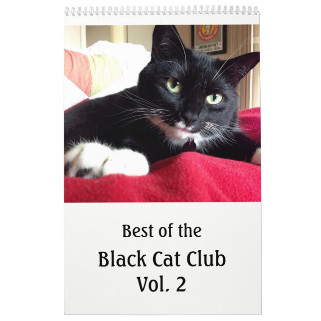 Calendário do Vol. 2 do clube do gato preto (Capa)