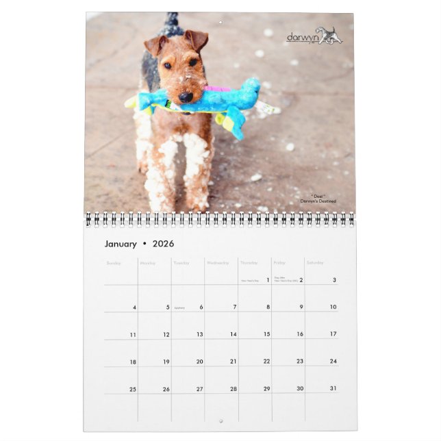 Calendário do Welsh Terrier (Jan 2026)