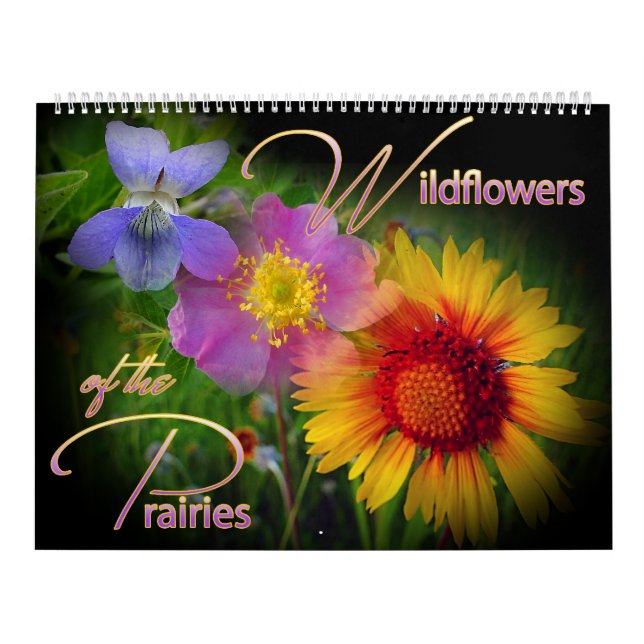 Calendário do Wildflower da pradaria (Capa)