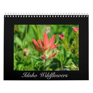 Calendário do Wildflower de Idaho