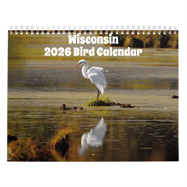 Calendário do Wisconsin Birds 2026 (Capa)