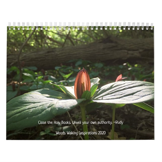 Calendário do Woods Walking Inspirations 2020 (Capa)