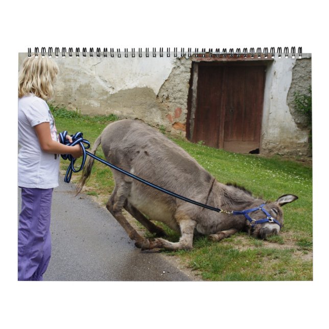 Calendário Doações Doce Todo O Ano 2025 (Capa)