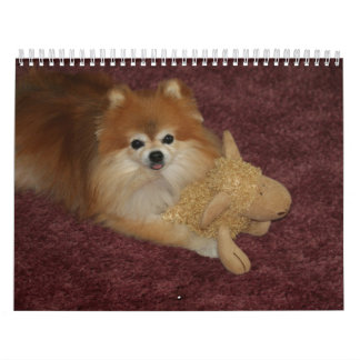 CALENDÁRIO DOCINHO POMERANIAN DA RAINHA