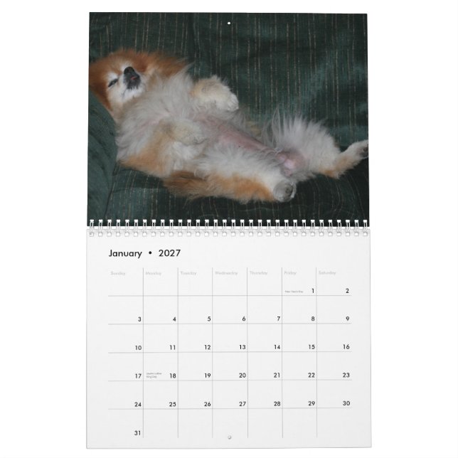 CALENDÁRIO DOCINHO POMERANIAN DA RAINHA (Jan 2027)