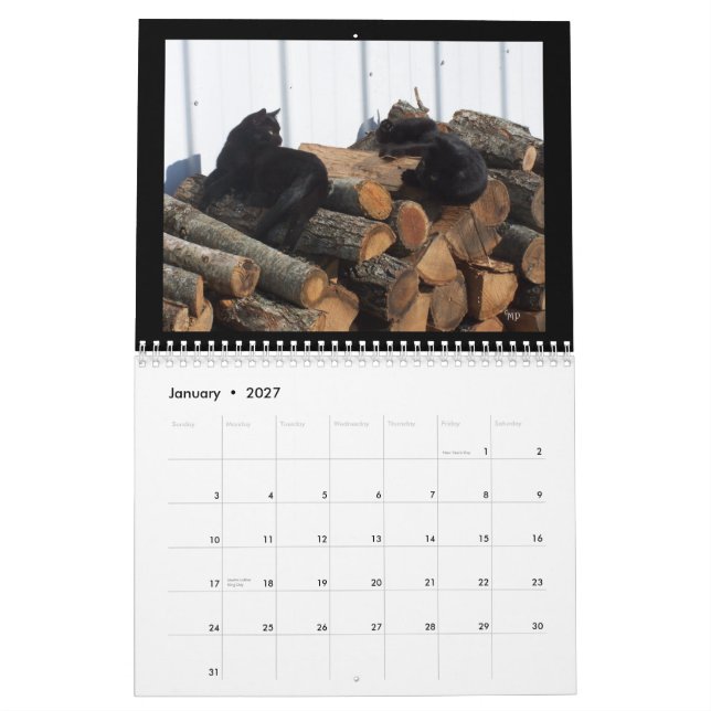Calendário dos amantes 2014 do gato--ANO do EDIT (Jan 2027)