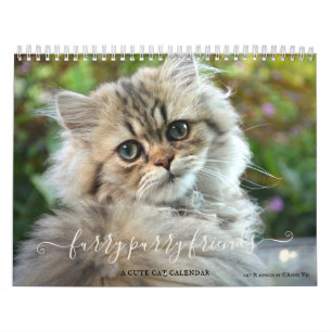 Calendário dos Amantes de Gato Puro de Fúria de Co