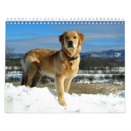 Calendário dos amantes do golden retriever