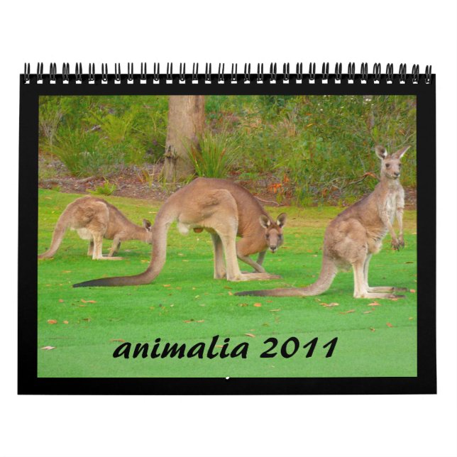 calendário dos animais 2011 (Capa)