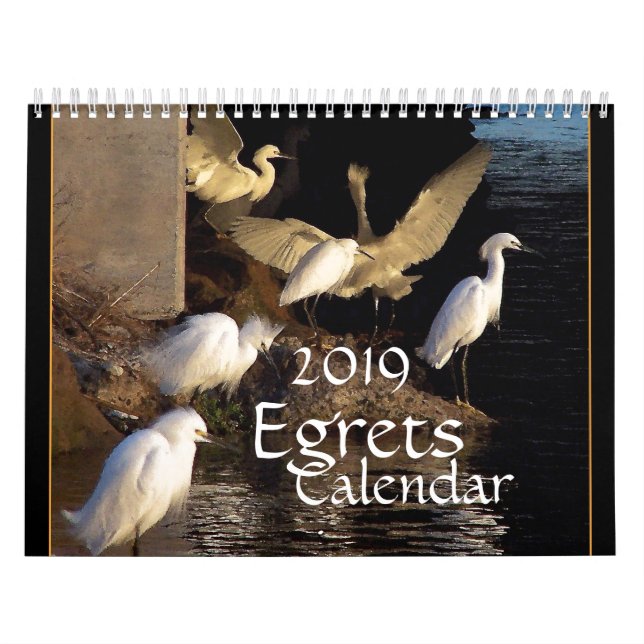 Calendário dos animais 2019 dos animais selvagens (Capa)