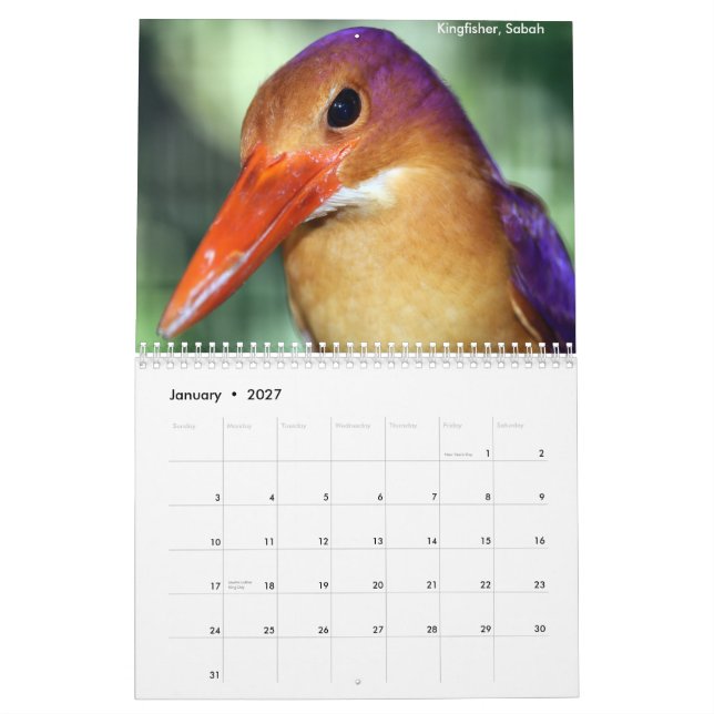 Calendário dos animais da floresta húmida de (Jan 2027)