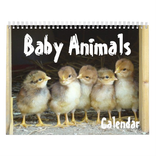 Calendário dos animais do bebê (Capa)