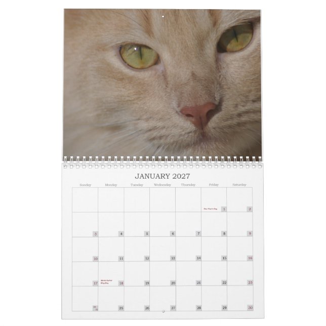 Calendário dos animais do salvamento (Jan 2027)