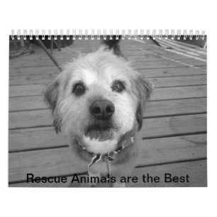 Calendário dos animais do salvamento