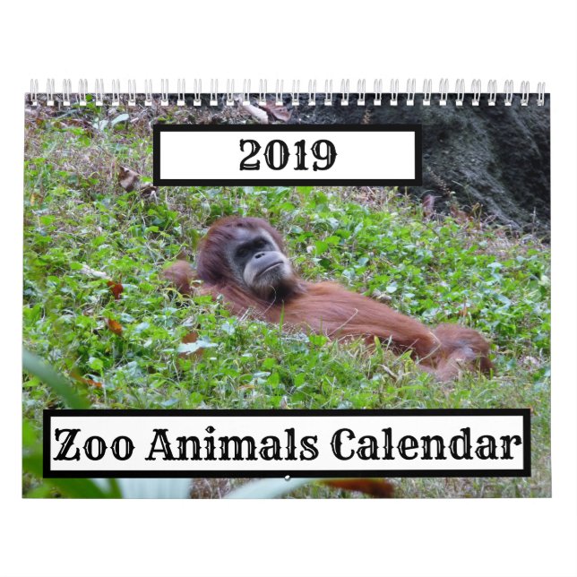 Calendário dos Animais dos Zoológicos de 2019 (Capa)