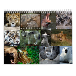 CALENDÁRIO DOS ANIMAIS SELVAGENS