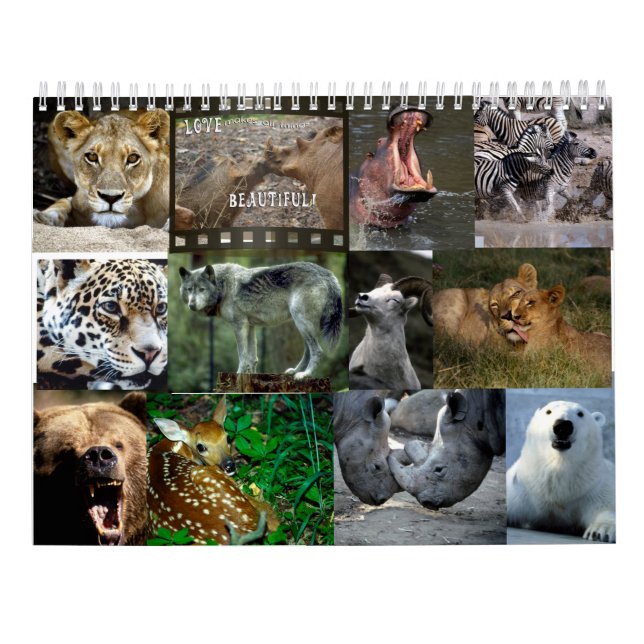 CALENDÁRIO DOS ANIMAIS SELVAGENS (Verso)
